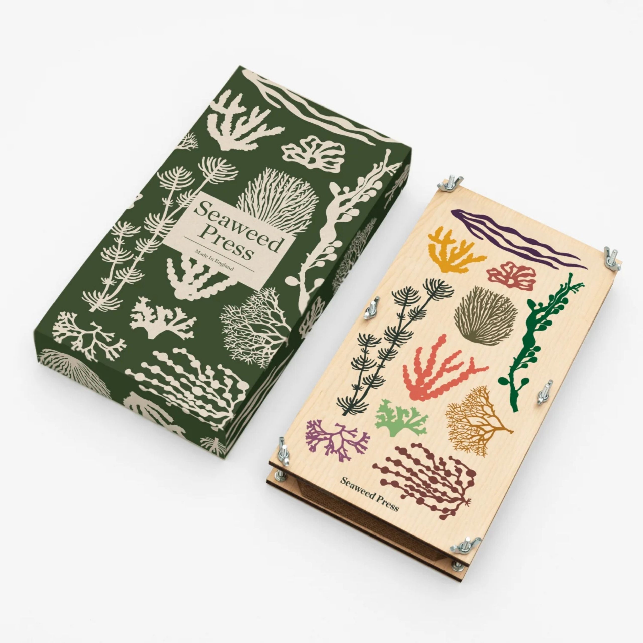 Seaweed Packaging Innovations: A Sustainable Future for Packaging